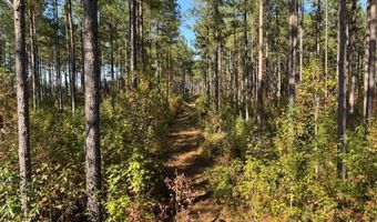 TBD Binnicker Bridge Road, Bamberg, SC 29003