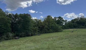 Tract 10 Hwy 105 S, Atkins, AR 72823