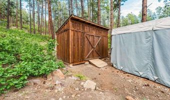427 Pine Valley Rd, Bayfield, CO 81122