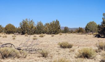 251 Se4 Juniperwood Rnch, Ash Fork, AZ 86320