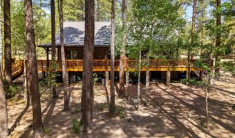 8 County Road 2083, Alpine, AZ 85920