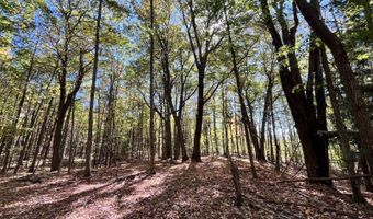 1235 White Hill Rd, Alma, NY 14715