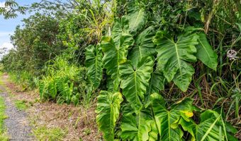 4 TH Ave, Keaau, HI 96749