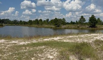 228 Zoarbella Dr, Baxley, GA 31513