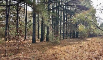 S Waller Rd, Bald Knob, AR 72010