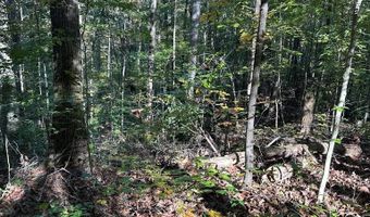 Lot 91 Buckeye Lane, Wilder, TN 38589