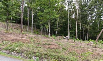 Bayside Boulevard lot 45, Bean Station, TN 37708