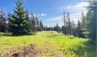 NW LODGE Rd, Banks, OR 97106