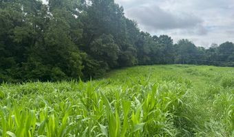 37928 Buck Run Rd, Albany, OH 45710