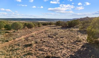 77 CR N8604, Concho, AZ 85924