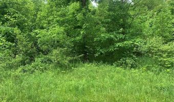 Pinney Topper Road, Ashtabula, OH 44004