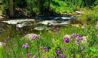 979 Queen St, Aspen, CO 81611