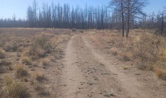 0 Bull Pine Rd 4, Bly, OR 97622