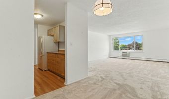 1207 S Old Wilke Rd 303, Arlington Heights, IL 60005