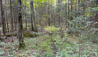County Road Y, Aniwa, WI 54408