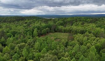 6020 Eaglewood Ln, Birchwood, TN 37308