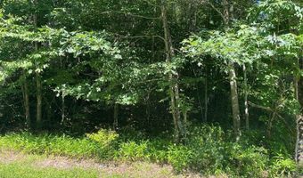 3 Clear Fork Creek Rd 31, Bastian, VA 24314