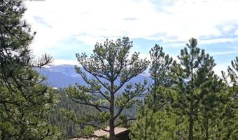 226 Hall Rd, Bailey, CO 80421
