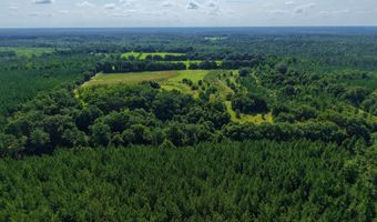 22880 OLD WEEKLY ROAD Lot 40 Acres, Bay Minette, AL 36507