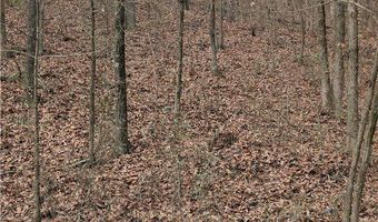 Evans Mountain Road lot 0, Atkins, AR 72823