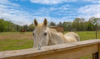 3237 MUD CREEK Rd, Adger, AL 35006