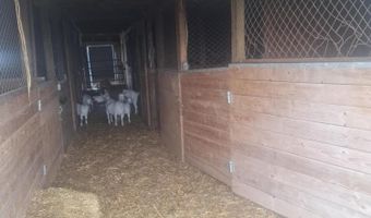 38706 114th St, Barnard, SD 57426