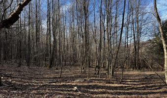 1361 Weaver Hollow Rd, Andes, NY 13731