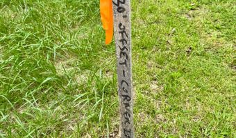 4666 S Pine Ridge Rd, Birdseye, IN 47513