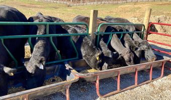 1235 Long Branch-Land, Beattyville, KY 41311