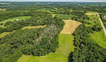 58 Acres River Road Rd, Argyle, WI 53504