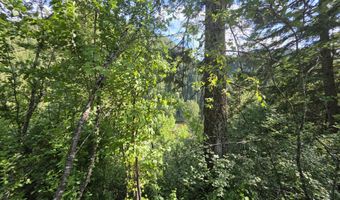 480 Dunn Peak Rd, Avery, ID 83802