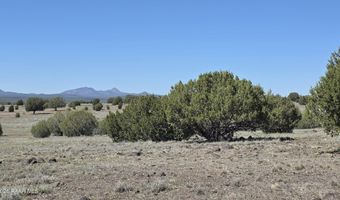 Ten Tanks Rd lot 6, Ash Fork, AZ 86320