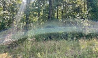 Lot 19 Trap St, Abita Springs, LA 70420