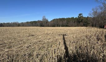 0 Bivalve Lodge Rd, Bivalve, MD 21814