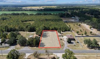 Main St, Bell, FL 32619