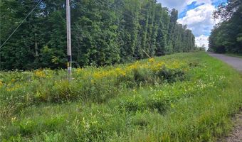 Tbd 162nd Street, Apple River, WI 54001