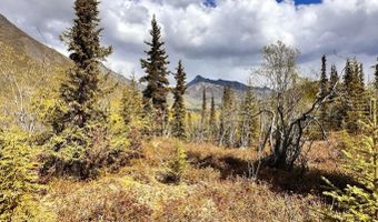 B005 S Packsaddle Road, Chickaloon, AK 99674