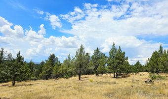Canvasback Drive 28, Bonanza, OR 97623