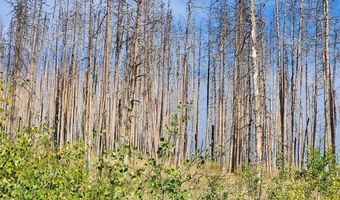 0 Crystal Mountain Rd, Bellvue, CO 80512