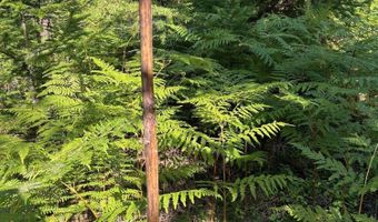 Tract 6 USFS 2294, Clark Fork, ID 83811