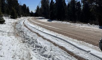 El Camino Real Lot 1386, Angel Fire, NM 87710