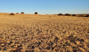 1 3 County Road 5088, Concho, AZ 85924