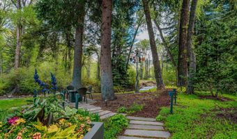 1110 Black Birch Dr, Aspen, CO 81611