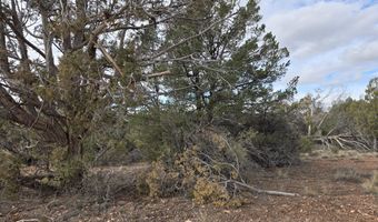 446 Arizona Rd, Ash Fork, AZ 86320