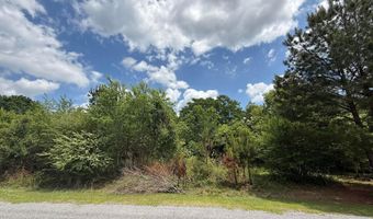 320 HARPERS Ln, Ashville, AL 35953