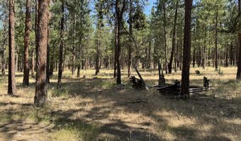 28961 Yonna Wood Rd, Bonanza, OR 97623