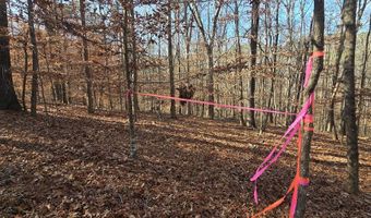 00001 Hwy 369, Ball Ground, GA 30107