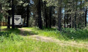 1909 Gold Dust Rd 60, Cascade, ID 83611