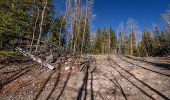 271 E Deer Trl, Brian Head, UT 84719