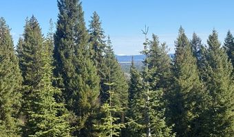 Urban Lane lot 5, Cascade, ID 83611